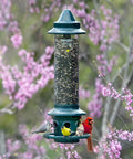 Ultra Squirrel-Proof Bird Feeder With Cardinal Ring And Six Feeding Ports hanging from a tree, surrounded by birds.