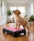 Puppy on Non Slip Dog Training Platform For Agility And Obedience Practice Portable Indoor Outdoor Stand 17 By 13 Inch pink surface.