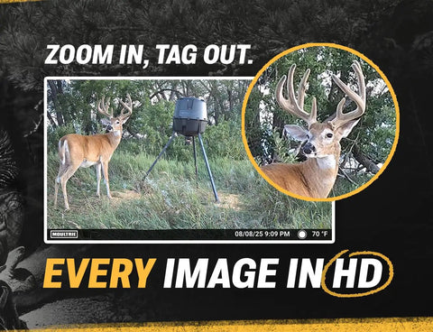 Wildlife photo captured by Edge 2 Cellular Trail Camera With Nationwide 4G LTE Auto Connect, 36MP Photos, 1080P Video With HD Audio