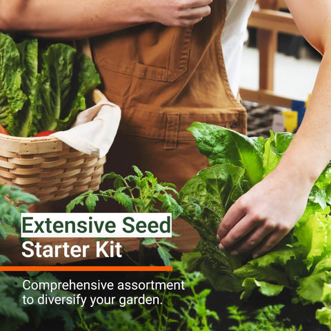 Person tending to plants with a basket of greens labeled 'Massive 4000 Heirloom Seed Herb Kit With 12 Varieties For Indoor And Outdoor Garden Non GMO Vegetable And Fruit Seeds 2026 Season High Yield Starter Pack' in foreground.