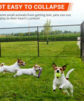 Dogs playing in yard with chain link fence installed using Chain Link Fence Banana Clip Set For Tensioning And Stretching