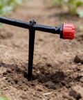 Close-up of a black 200 Pieces Drip Irrigation Support Stake securing 1/4 inch tubing, watering soil in a garden.