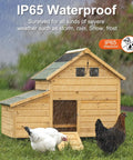 Wooden chicken coop with solar powered fan kit on roof under rainy weather, showcasing IP65 weatherproof feature.