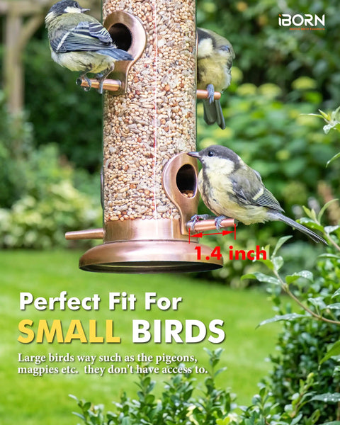 All Metal Brushed Copper Bird Feeder With Six Feeding Ports For Outdoor Hanging 15 Inch Backyard Wild Bird Feeder To Attract A Crowd Of Chirping Friends Seed Not Included Great For Bird Watchers And Garden Decor Yard Friendly Weather Resistant with small birds feeding