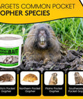 Pocket Gopher Bait Ready To Use Wheat Grains For Real World Rodent Control At Home And On Farms Yard Lawns Turf And Crops Diphacinone Formula For Lawns Turf And Gardens 5 Pounds, highlighting targeted pocket gopher species.