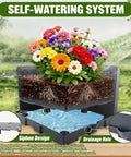 Diagram showing a self-watering system with flowers illustrating the mechanics of water absorption and drainage.