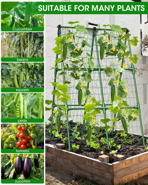 Two Pack A Frame Cucumber Trellis Garden Trellis For Climbing Plants Outdoor Raised Bed Plant Grow Support For Tomato Squash Vegetable And Flower 33 By 47 Inches Each in use with climbing plants.