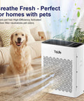 Large Room Air Purifier With HEPA H13 Filtration And Washable Filter For Pet Hair Odor Dust Smoke Covers Up To 1095 Sq Ft Sleep Mode And Timer Ideal For Bedroom Living Room placed near a dog in a living room.