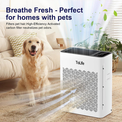 Large Room Air Purifier With HEPA H13 Filtration And Washable Filter For Pet Hair Odor Dust Smoke Covers Up To 1095 Sq Ft Sleep Mode And Timer Ideal For Bedroom Living Room placed near a dog in a living room.