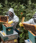 Beekeeper using Three Piece Bee Brush With Wooden Handle For Beehives Pro Grade Lightweight 15 Inch Bristle Tool Set For Hive Inspections.
