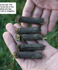 Hand holding soil cores removed by Core Lawn Aerator Version 4 Kit with 3.4 Inch Standard Length Coring Tines and Soil Core Container