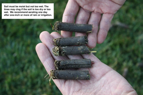 Hand holding soil cores removed by Core Lawn Aerator Version 4 Kit with 3.4 Inch Standard Length Coring Tines and Soil Core Container