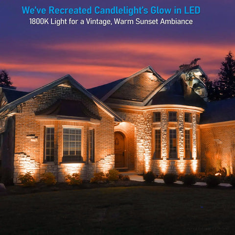Low Voltage Dimmable Landscape Lights Kit For Outdoor Use, 12V Wall Wash LED Spots, illuminating a house facade at dusk, 1800K