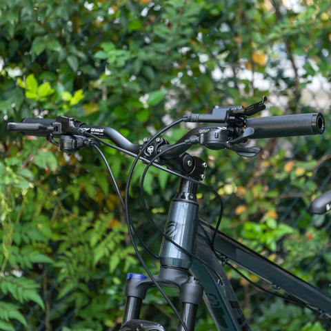 Close-up of 620mm Aluminum Mountain Bike Handlebar 25.4 Clamp Riser with 30mm rise on a forest path