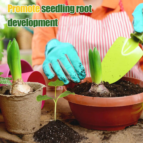Gardener using organic seed starter mix for fast germination and strong root systems with seedlings in pots, premium potting soil 1 quart.