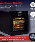 Kickass Food Dehydrator With Fifteen Extra Large Stainless Trays For Making Badass Beef Jerky And Crispy Dog Treats Featuring Precision Rear Fan And Adjustable Heat Settings For No Sweat Drying Jobs on kitchen counter.
