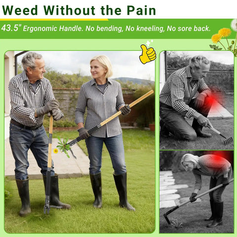 Stand Up Weed Puller Tool With Dual Action Pop Up Mechanism For Easy Weed Removal In Garden Lawn And Yard 43.5 Inch Long Durable Ergonomic Handle For Quick Dirt Uprooting. 43.5-inch bamboo handle, 4-claw steel head, used in lawn and garden