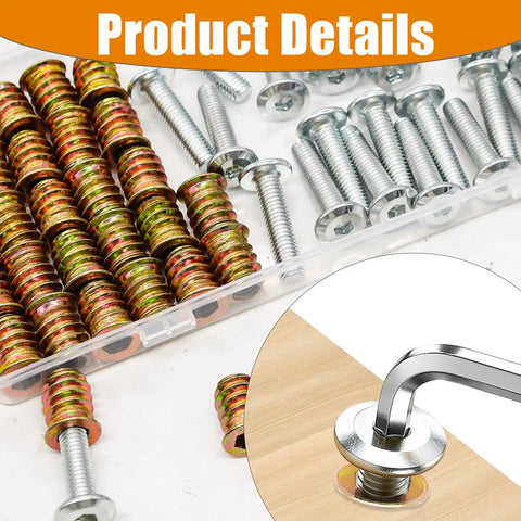 Top Shelf M6 Threaded Inserts For Wood With Furniture Screws Carbon Steel Screw In Nuts Hex Socket Drive Fasteners Includes Wrench 30 Piece Set close-up of threaded inserts and screws in a clear storage container.