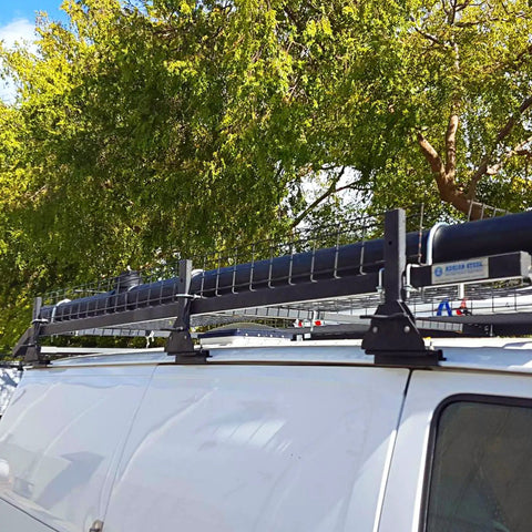 Van roof rack for secure transportation with tree backdrop