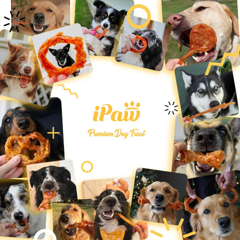 Collage of dogs enjoying Turkey Tendon Chews For Dogs 20 Count Bulk Pack Pure Turkey US Sourced Rope Chews.