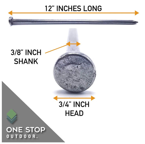 Heavy Duty 12 Inch Round Metal Stakes For Landscape And Paver Edging, Extra Thick Timber Nail Spikes with dimensions