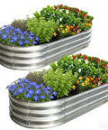 Galvanized Raised Garden Bed Kit Outdoor Oval Planter Boxes For Vegetables Fruits And Flowers Heavy Duty Metal Easy Assembly 4x2x1 Ft Per Bed 2 Pack Silver, filled with vibrant plants.