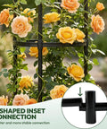 Two Pack Garden Obelisk Trellis For Climbing Plants 6 Foot Adjustable Height Built Tough Steel Core with yellow roses