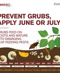 Mineiro 2F Flex Twenty One Point Four Percent Imidacloprid Insecticide Concentrate For Grub And Bug Control On Lawns And Landscapes 32 Oz That Keeps Your Turf Pest Free All Season chart showing grub life cycle.