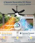 42 Inch Outdoor Ceiling Fan With Lights, IP65 Weatherproof, app and remote control on patio with airflow illustration