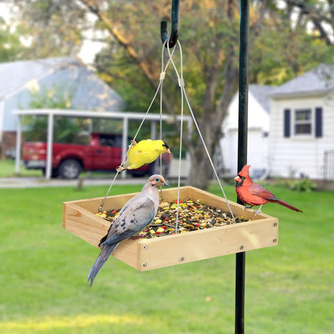 Eco Friendly Wood Hanging Bird Feeder Tray For Outdoors with birds on the durable platform in a garden setting.