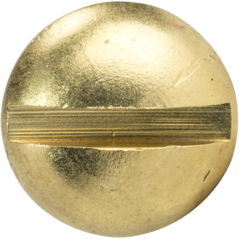 Top Shelf Heavy Duty Solid Brass Wood Screws Featuring Round Head Slotted Drive And Partially Threaded Design Built Tough For Everyday Carpentry Arrives Ready To Roll In A Sweet Pack Of Twenty Five Pieces - close-up view of a round brass head screw.