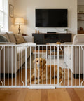 Extra Wide Baby Gate For Doorways 57.5 To 62 Inches Adjustable 30 Inch Tall Metal Gate With Double Lock Mechanism Pressure Mount Safety Gate With Automatic Closing Kid And Pet Friendly White blocking a dog in a living room