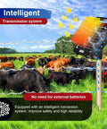 Solar Powered Fence Charger 0.18J Output energizing pasture fence with grazing cows and intelligent conversion system
