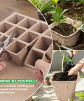 Collage of Seed Starter Tray Kit with 240 Cell Biodegradable Peat Pots and tools for planting seedlings indoors.
