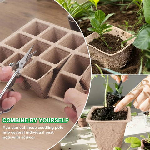 Collage of Seed Starter Tray Kit with 240 Cell Biodegradable Peat Pots and tools for planting seedlings indoors.