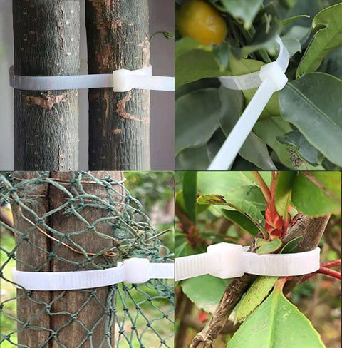 Beefy 24 Inch Zip Ties Pack Of 50 Heavy Duty Cable Ties For Outdoor Use securing branches and garden netting
