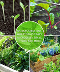 Collage of seedlings and mature plants illustrating use of 10 Pack Thickened Seed Starter Trays Reusable Plastic Plant Seedling Trays