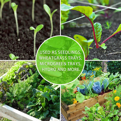 Collage of seedlings and mature plants illustrating use of 10 Pack Thickened Seed Starter Trays Reusable Plastic Plant Seedling Trays