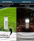 Eight Pack Solar Pathway Lights With Auto On Off Led Outdoor Landscape Lighting For Garden Yard Lawn Patio Walkway Driveway Waterproof IP44 Dusk To Dawn Square Stakes Easy Setup No Fuss Durable Stainless Steel And Weatherproof Plastic charging in sunlight