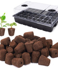 40 Seed Starter Plugs With Tray Set For Quick Germination And Easy Planting, with Baltic Peat Moss Grow Sponges and seedlings