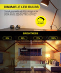R14 LED Bulb 4W E26 Base Dimmable Warm White 2700K Mini Reflector Floodlight 400 Lumens 40W Equivalent 4 Pack Energy Saving Home Lighting With Smooth Dimming For Most LED Dimmers 10 To 100 Percent, showing dimming options 25%, 50%, 75%, 100% in a living room setting.