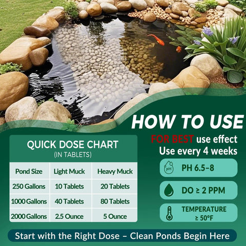 Image showing a pond with rocks, a quick dose chart, and details on pond sludge treatment tablets for clear water maintenance.