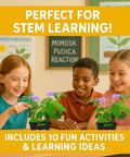Children interacting with Touch Me Plant Seeds Indoor 2 Pack That Close Leaves When Touched Easy Indoor Houseplant Seeds Fun Educational Garden Kit For Kids And Adults Watch Leaves Close For Instant Visual Fun, engaged in STEM learning activities.