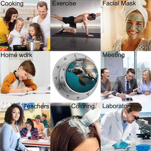 Collage featuring Go To Ocean Penguin Stainless Steel Timer With Magnetic Base For Kitchen Countdown And Baking, various activities
