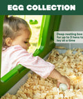 Child collecting eggs in a Large Plastic Chicken Coop For Easy Cleaning And A Secure Hen House, Green Color, with nesting box