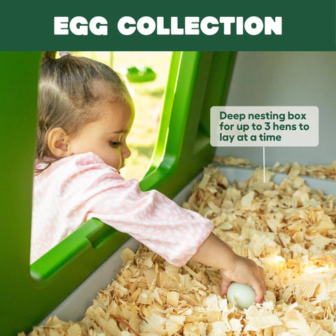 Child collecting eggs in a Large Plastic Chicken Coop For Easy Cleaning And A Secure Hen House, Green Color, with nesting box