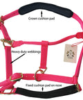 Heavy Duty Adjustable Horse Halter With Soft Nylon And Waffle Neoprene Cushions On Crown And Nose Built Tough Detachable Cushioned Pad