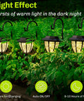 4 Pack Solar Pathway Lights With Shepherd Hook Hangers, illuminating a garden at night with warm 3000K ambience.