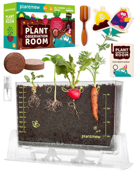 Six Seed Varieties Kid Friendly Garden Kit For Hands On STEM Learning with transparent planter showing plant growth.