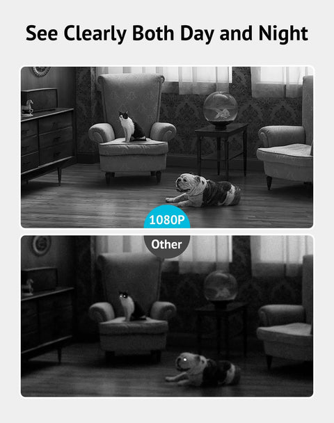 Comparison of 1080P HD image quality showing clear and blurred views of a cat and dog in living room. Indoor All-In-One Home Security Cam For Baby Monitoring And Pet Surveillance, 1080P HD Live View With Night Vision, Motion And Sound Alerts, Two-Way Audio, 360 Degree Pan Tilt, WiFi Cam For Alexa App.